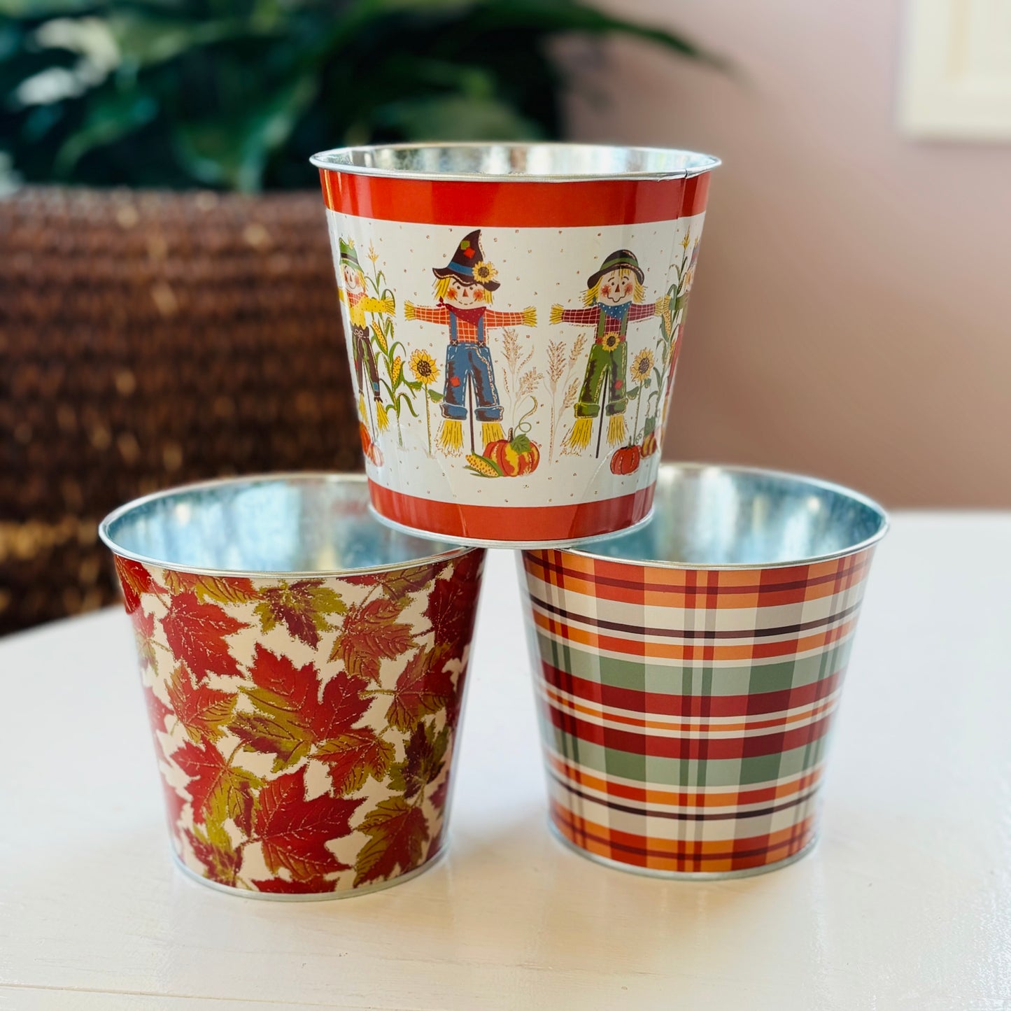 Harvest Tin
