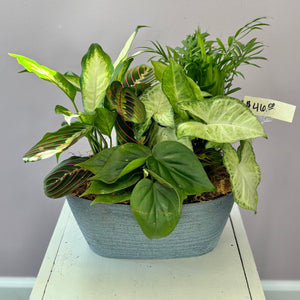 Dish Garden