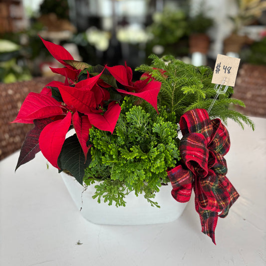 Christmas Time Dish Garden