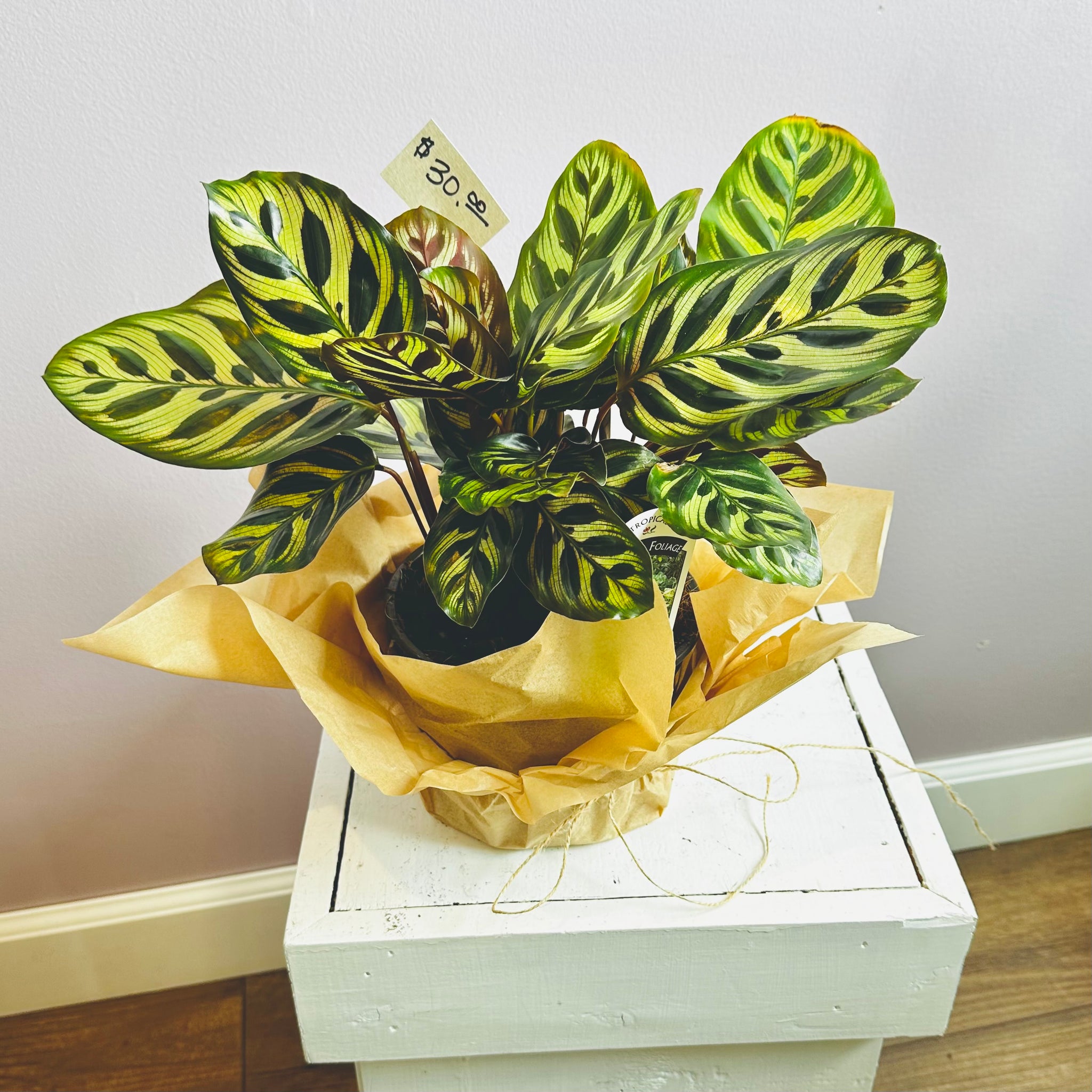 Petals & Possibilities Flowers & Gifts Amanda, Ohio