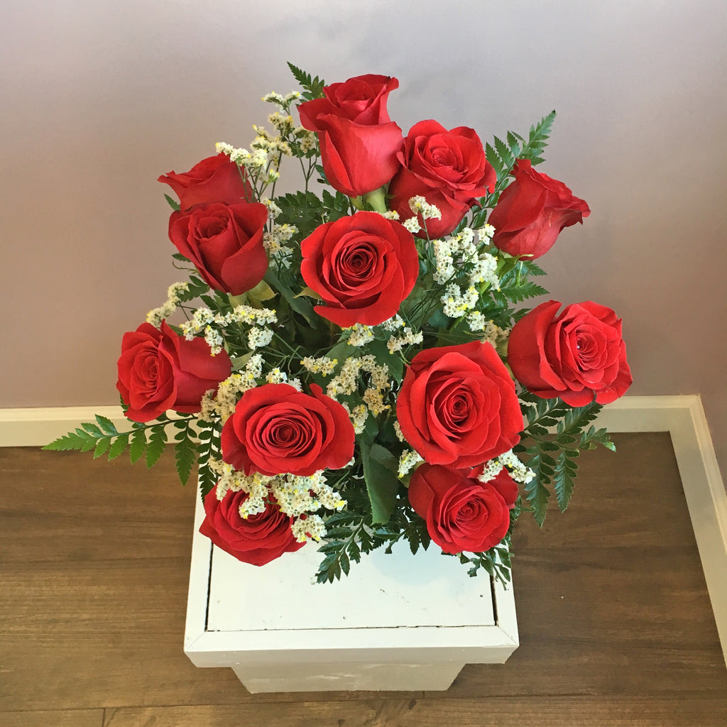 Red Roses – Petals & Possibilities