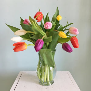 Tender Tulips